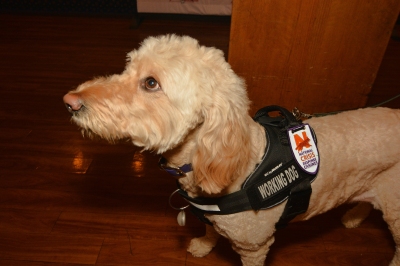 IESMA HRRN  CONF 2025 FINAL (357).JPG